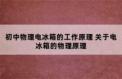 初中物理电冰箱的工作原理 关于电冰箱的物理原理